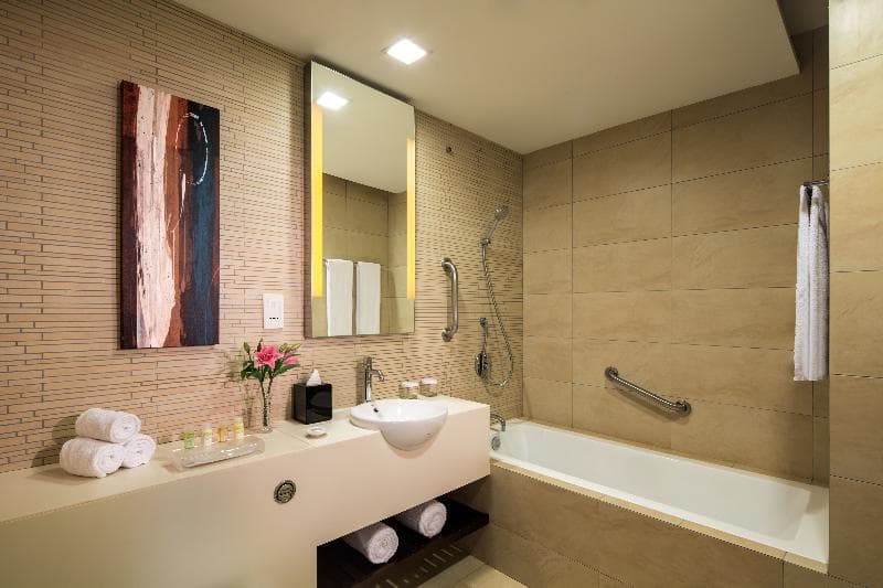 Park Avenue Rochester Hotel 4