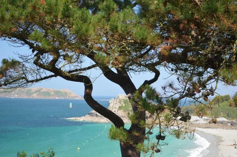 Les Costans 5