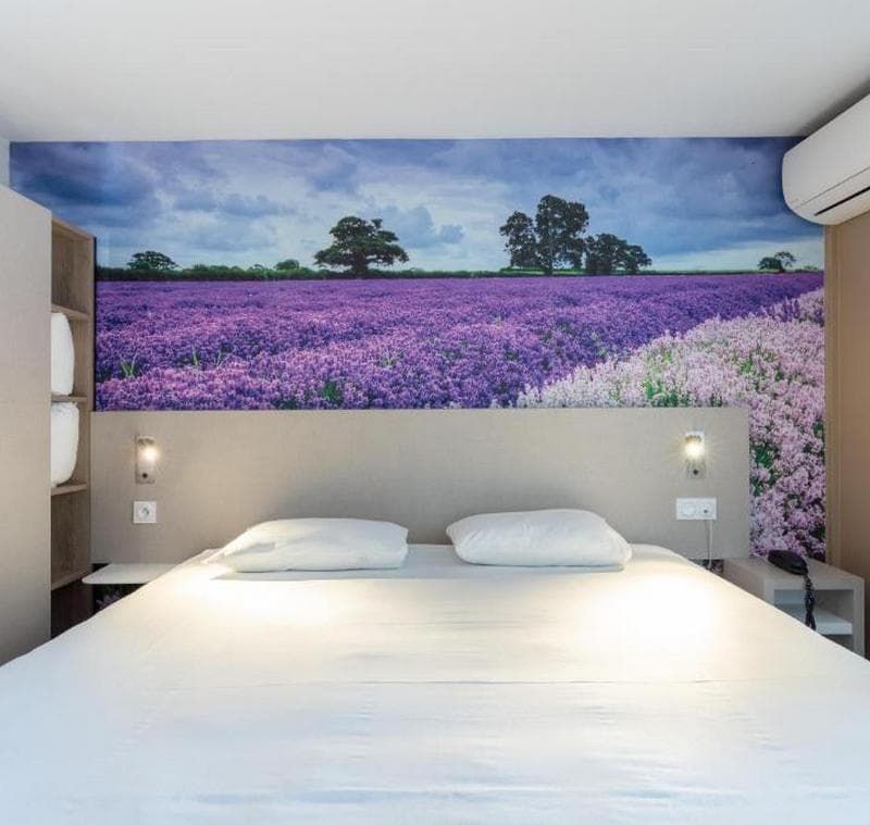 Brit Hotel Avignon Sud - Le Calendal 5