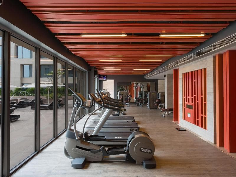 Holiday Inn New Delhi International Airport 2