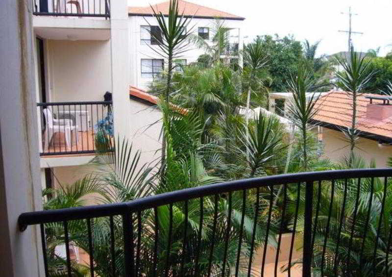 Chevron Palms main