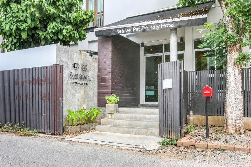 Ketawa Pet Friendly Hotel (Adults Only) 4