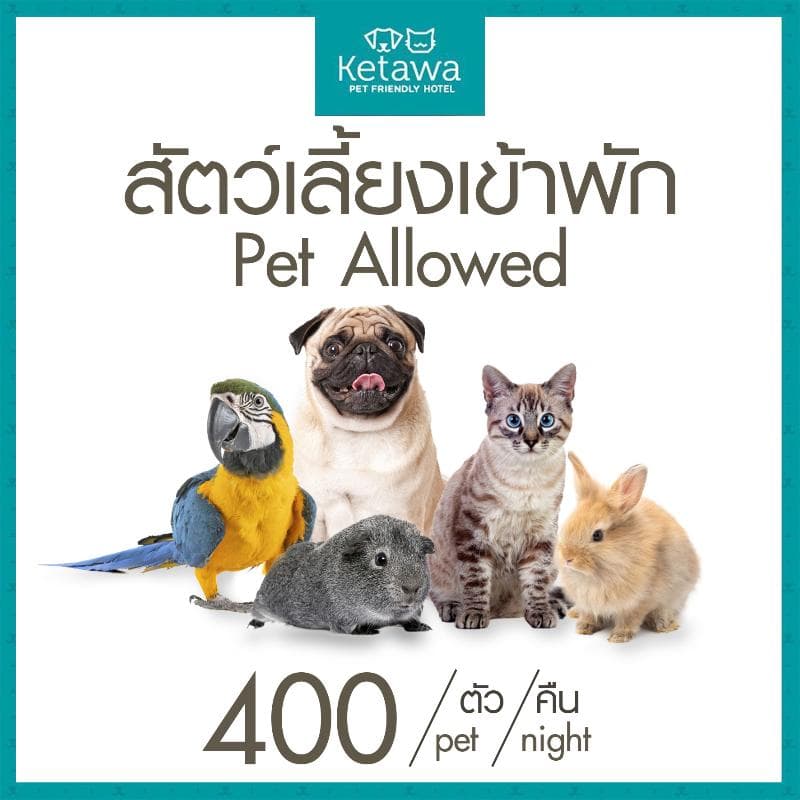 Ketawa Pet Friendly Hotel (Adults Only) 3