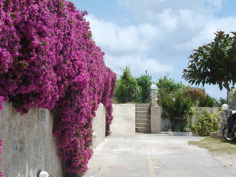 Villa Natalina 3