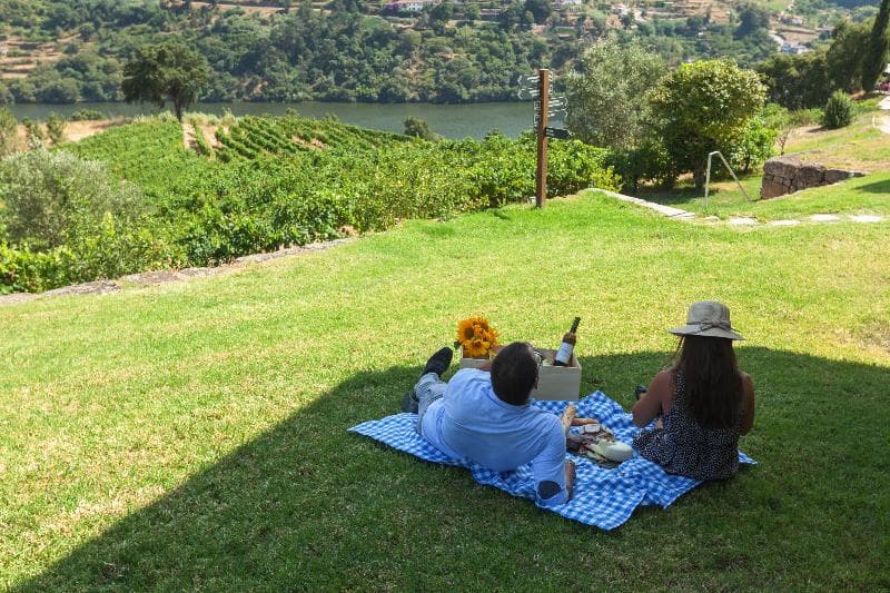 Douro Palace Hotel Resort and Spa 4