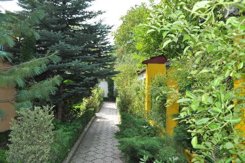 Casanova Inn 5