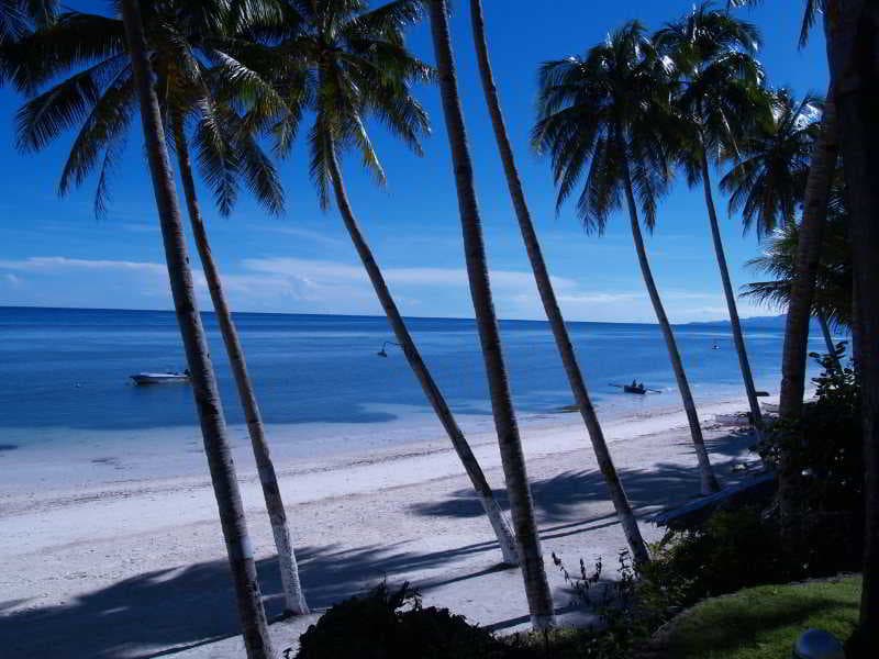 Anda White Beach Resort 4