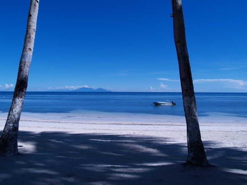 Anda White Beach Resort 5