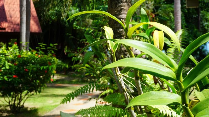 Morning Star Resort (Adults Only) 3