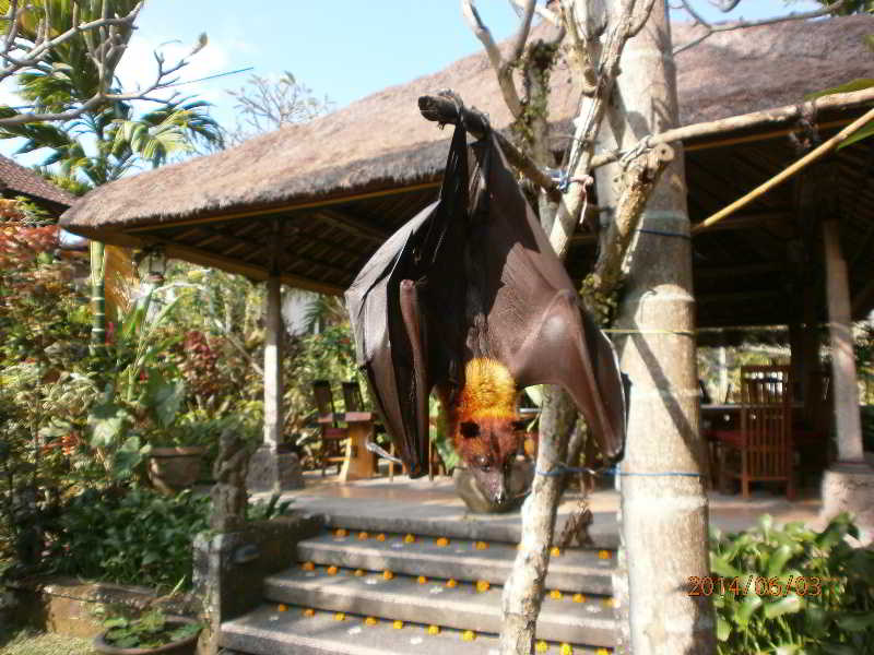 Ubud Inn Cottage 3