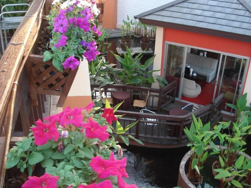 The Adventure Hotel photo 1