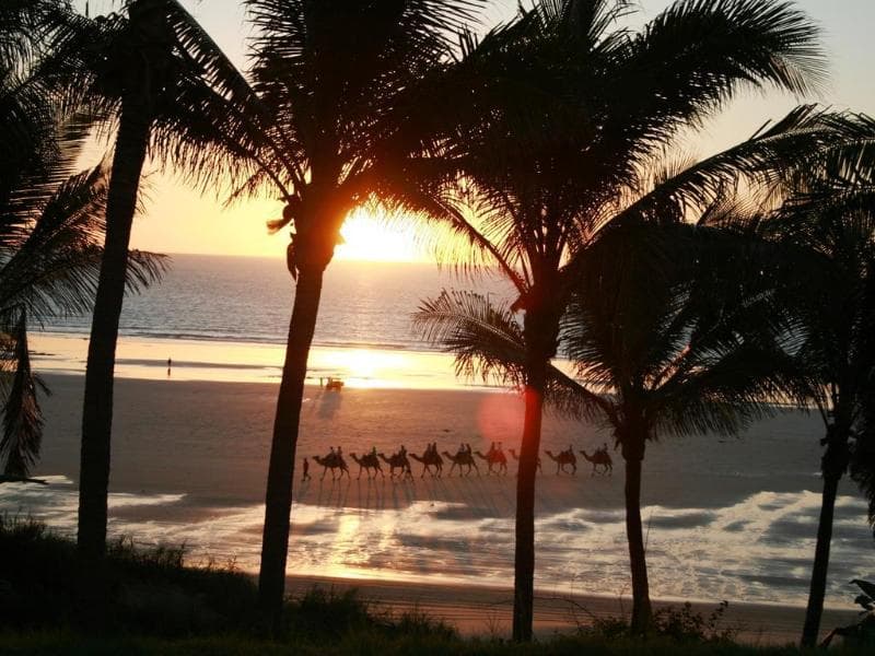 Cable Beachside Villas 4