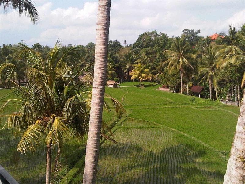 Motama Villa 3