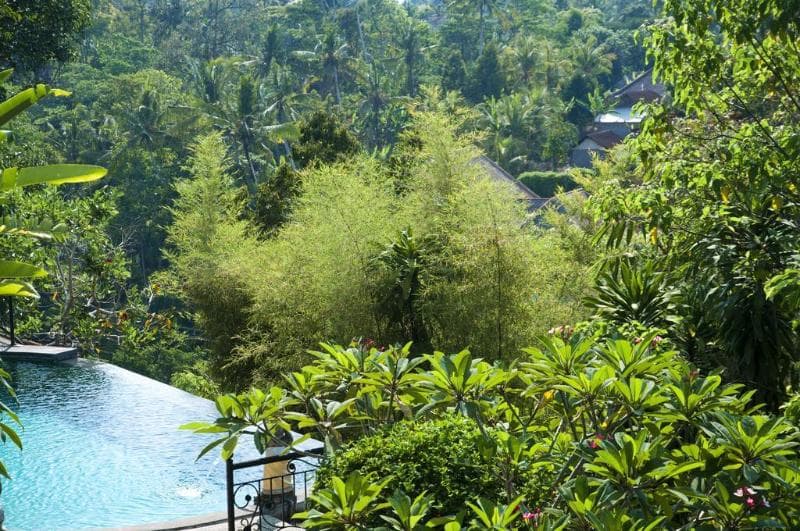 Ubud Dedari Villas 4