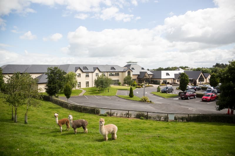 Clanard Court 4