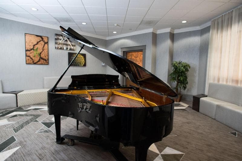 Sheraton Tucson Hotel & Suites 2