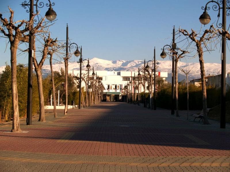 Corona De Atarfe 2