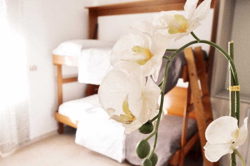 Hotel Colombo 4