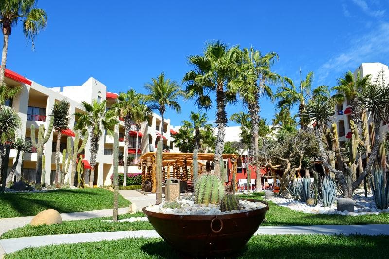 Grand Decameron Los Cabos A Trademark All Inclusive Resort - Adults Only 4