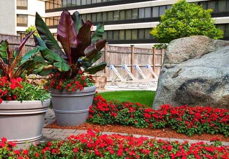 Boston Marriott Peabody photo 1