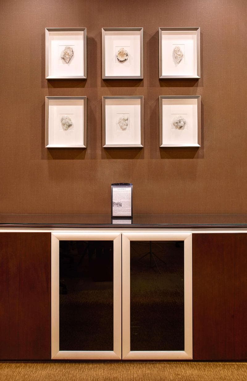 Hilton Denver City Center 5