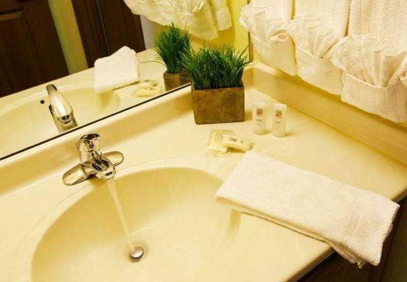 Towneplace Suites Detroit Livonia 4