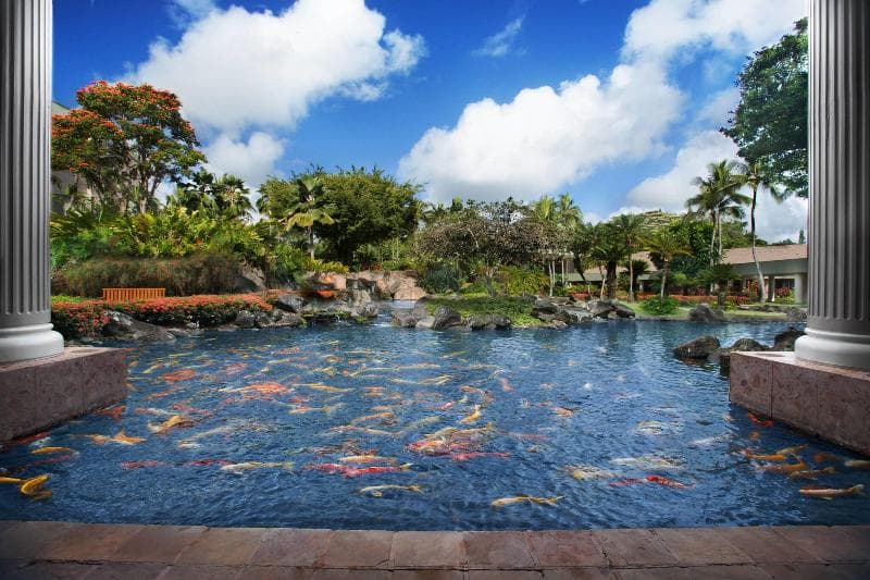 Marriotts Kauai Beach Club 2