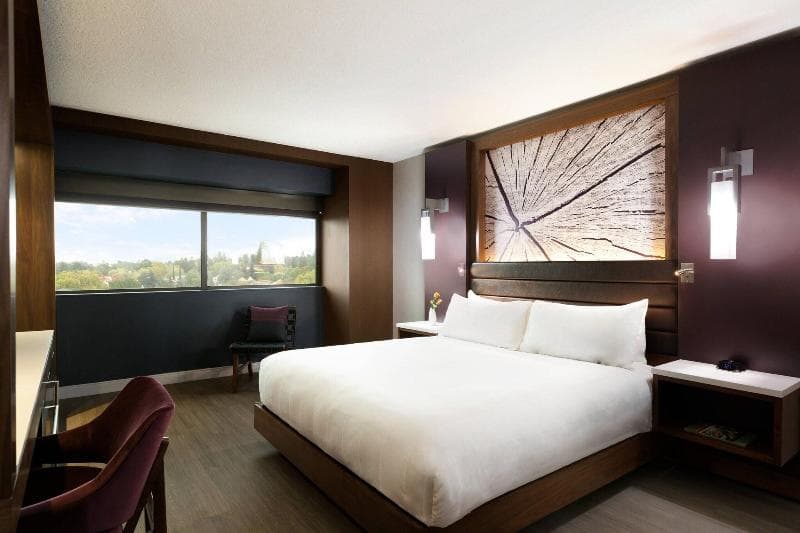 Marriott Walnut Creek 5