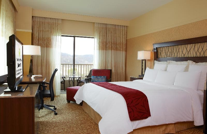 Meadowview Conference Resort & Convention Center 3