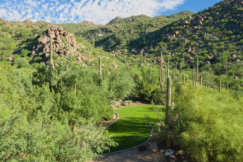 The Ritz-Carlton, Dove Mountain 2