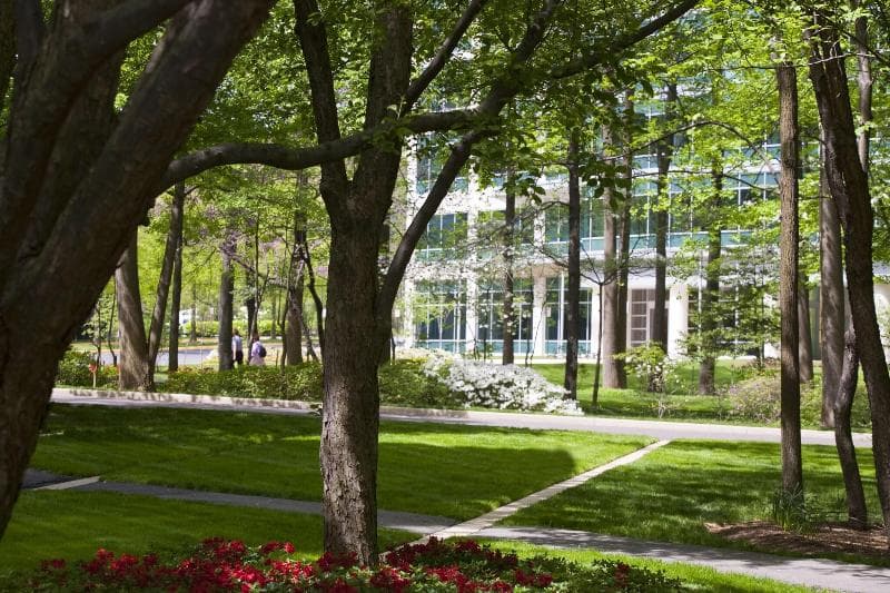 Falls Church Marriott Fairview Park 2