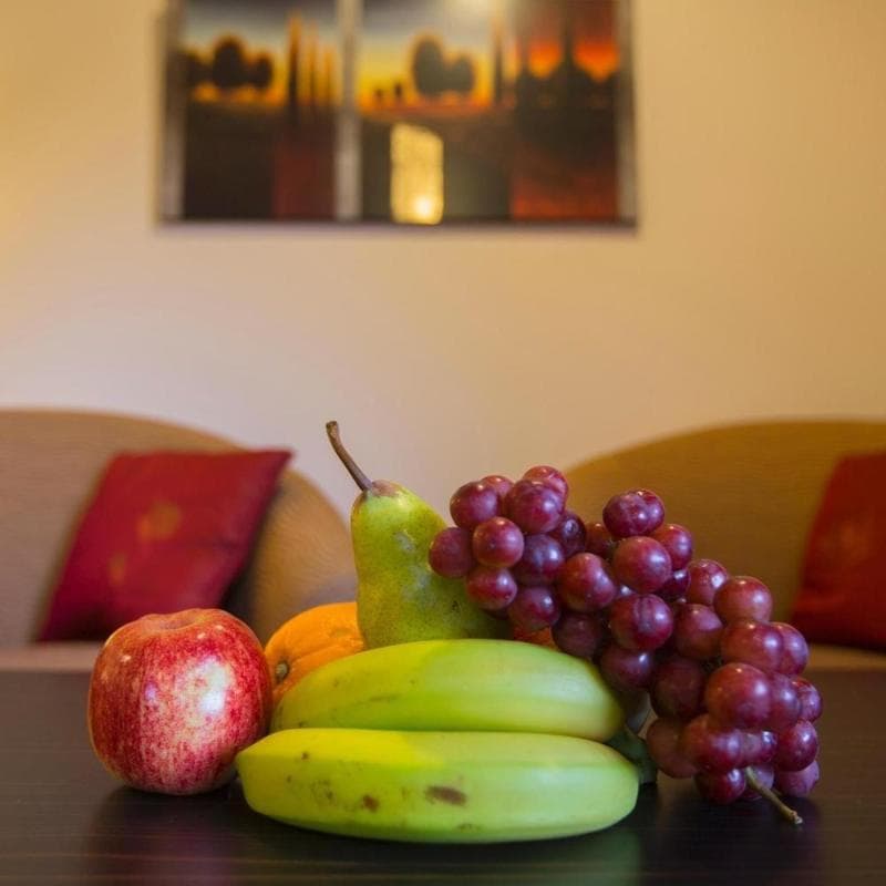 Hanmer Springs Retreat 3