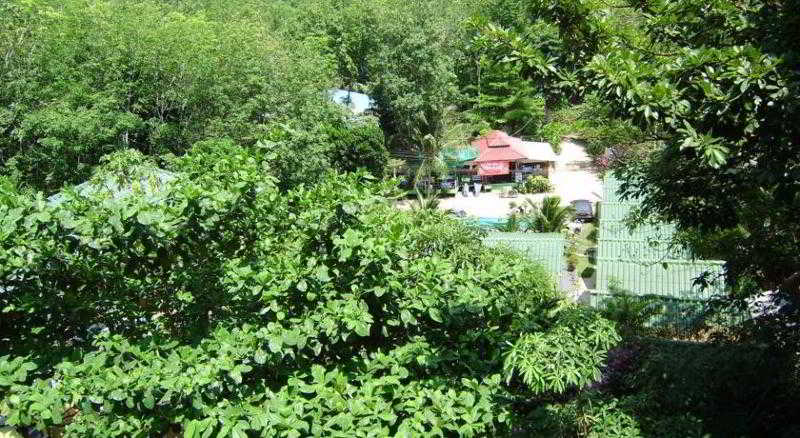 Island Lodge photo 1