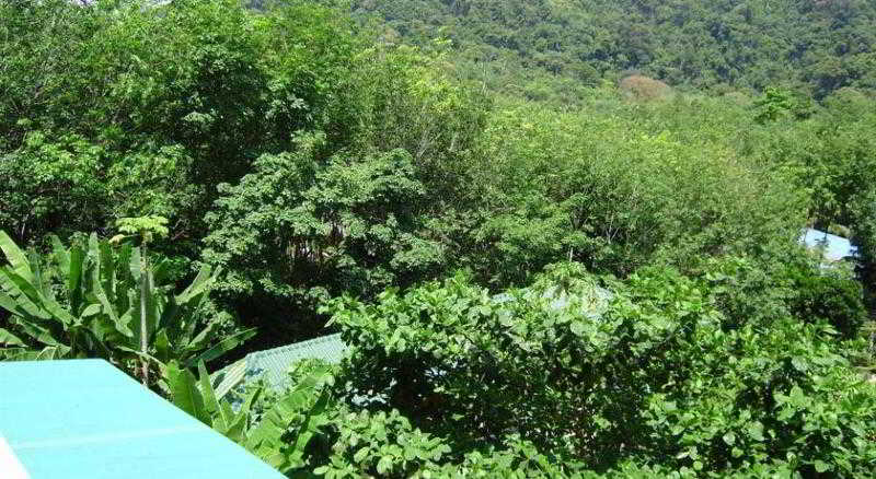 Island Lodge 3