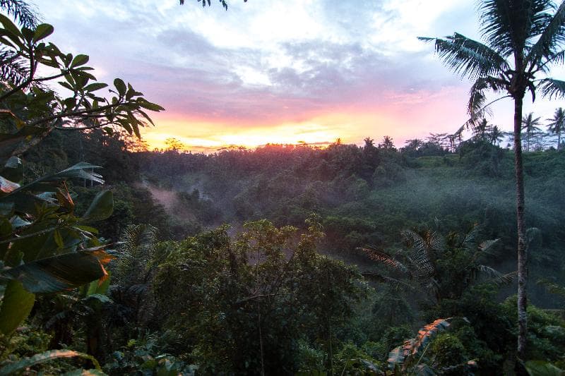 Bidadari Private Villas And Retreat photo 1