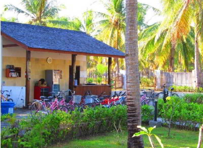 Trawangan Oasis 4