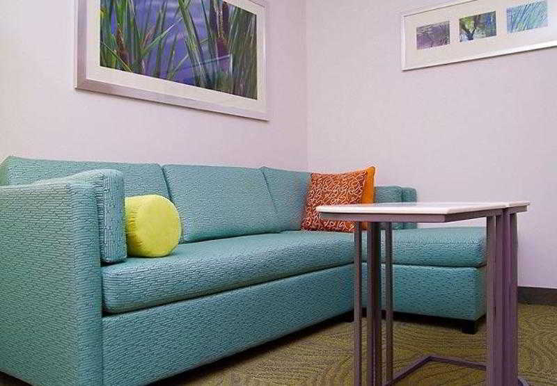 Springhill Suites Dallas Richardson/Plano 5