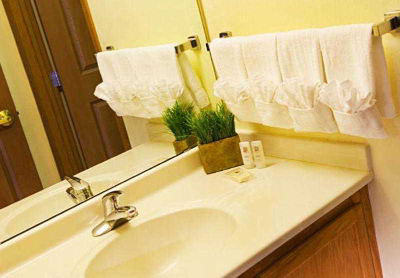 TownePlace Suites Minneapolis West/St. Louis Park 4