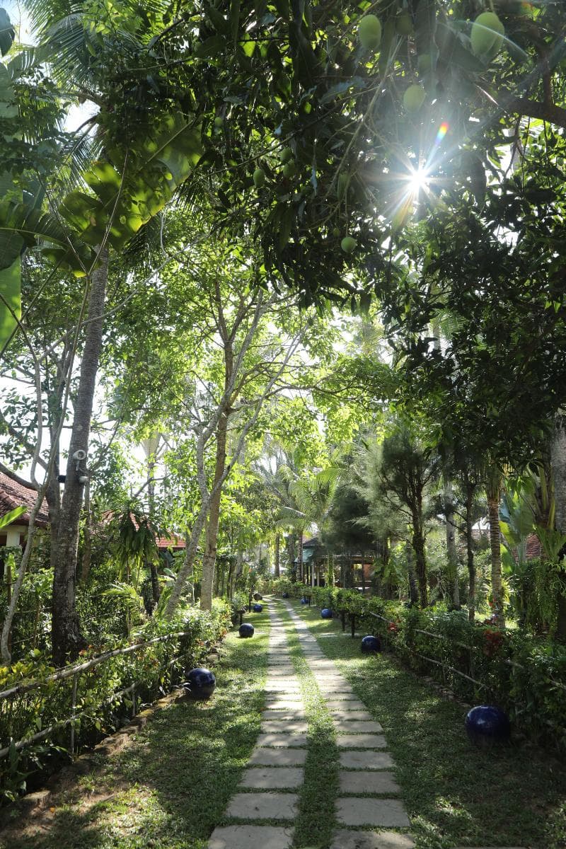 Cassia Cottage 2