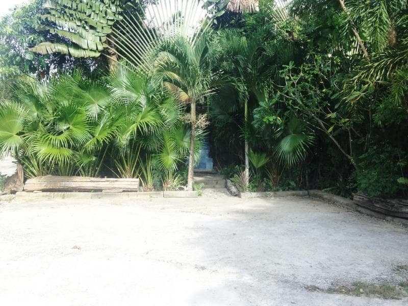 Ruan Mai Sang Ngam Resort photo 1