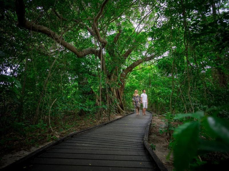 Green Island Resort 5