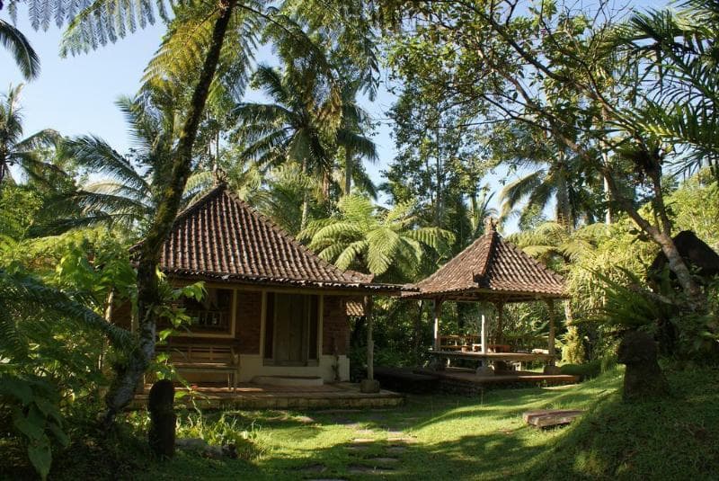 Prana Dewi Mountain Resort 5