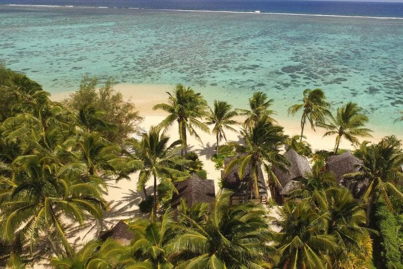 Palm Grove Resort 2