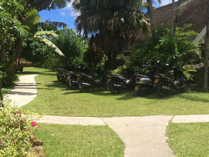 Palm Grove Resort 3
