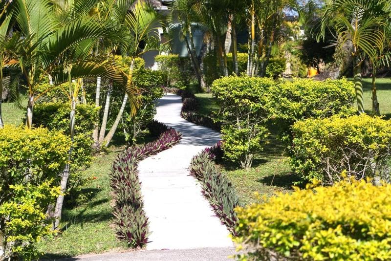 Mango Bay Resort 4