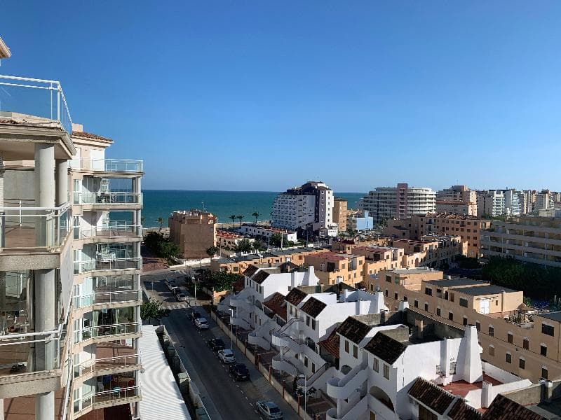 Apartamentos Argenta Caleta 3000 4