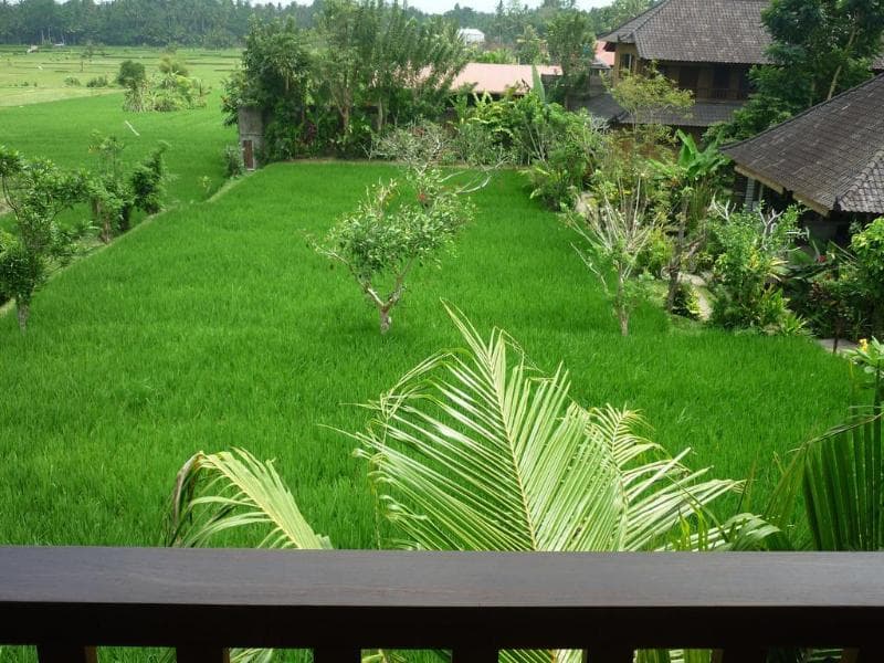 Bliss Ubud Spa Resort 3