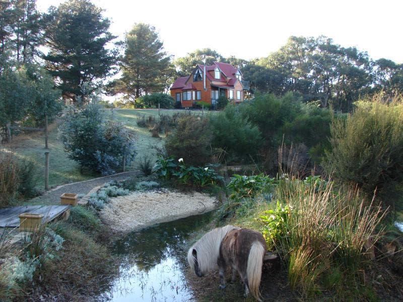 Bells Estate Great Ocean Road Cottages photo 1