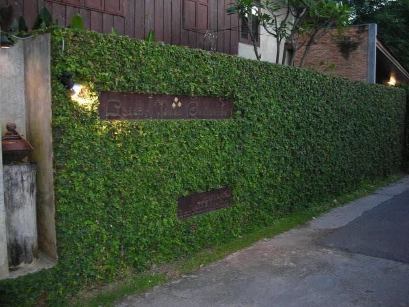 Chiang Maan Residence main
