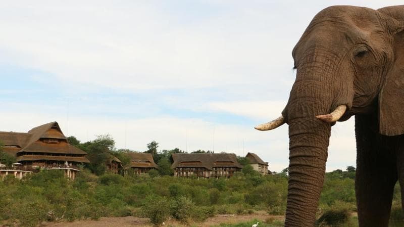 Victoria Falls Safari Suites 3